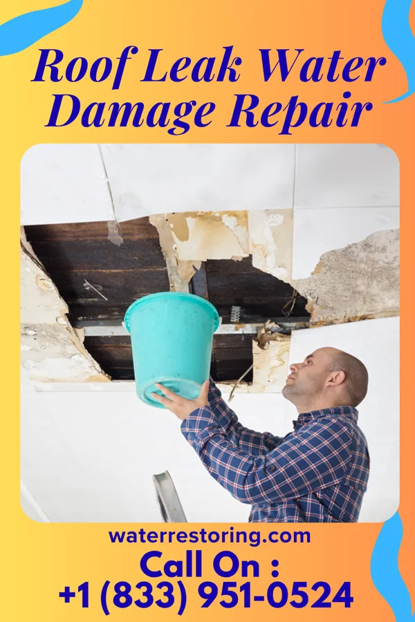 Roof Leak Water Damage Repair in Bath, NC